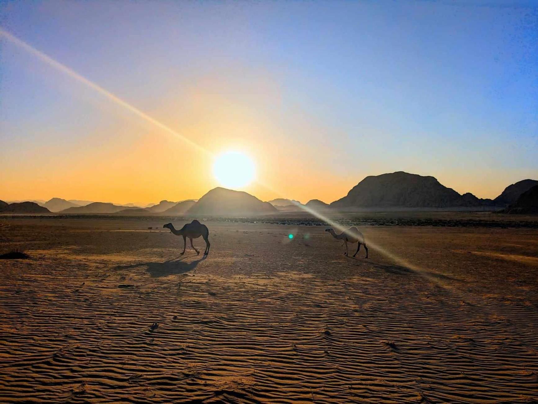 Shahrazad desert, Wadi Rum Bagian luar foto